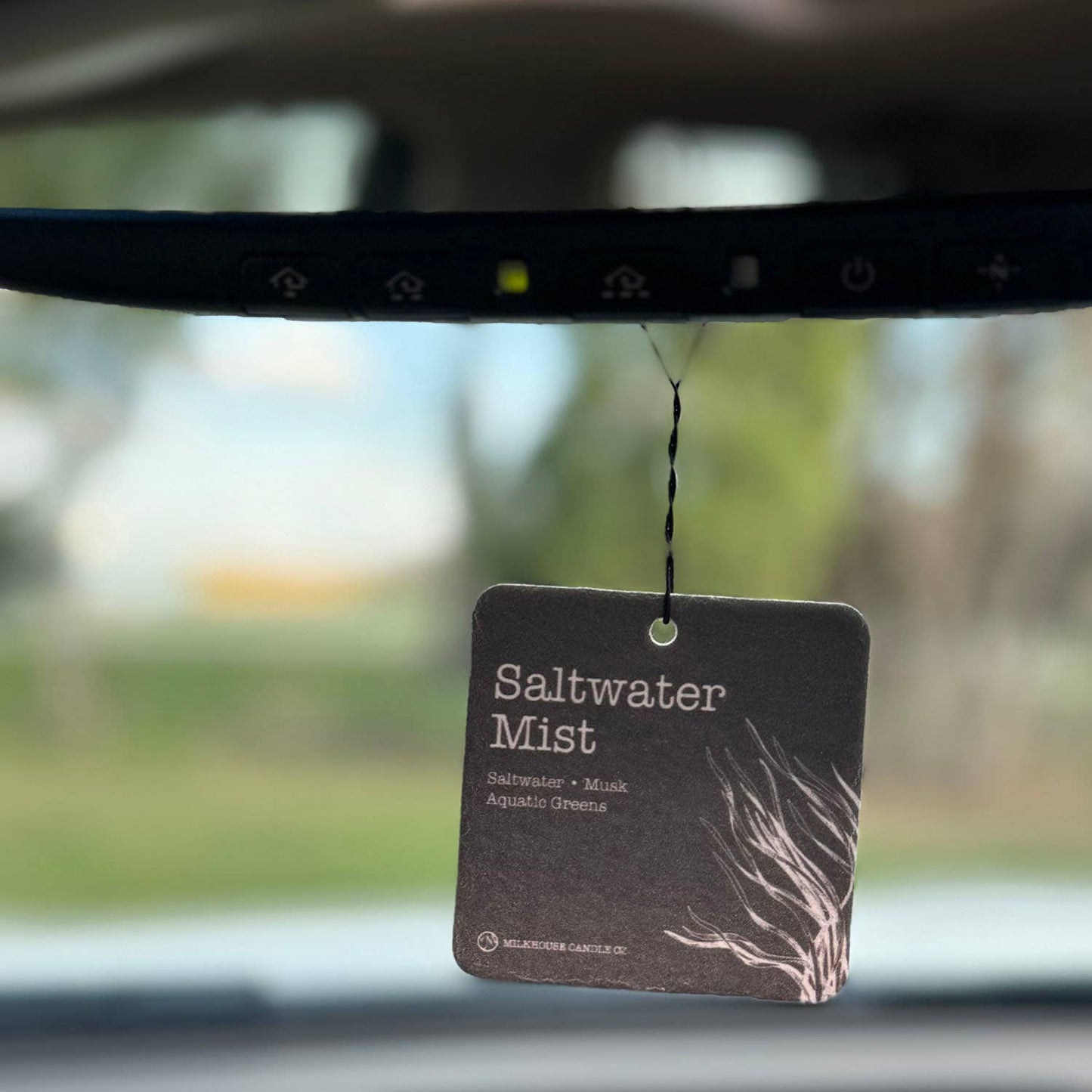 The Saltwater Mist (Car Freshener)