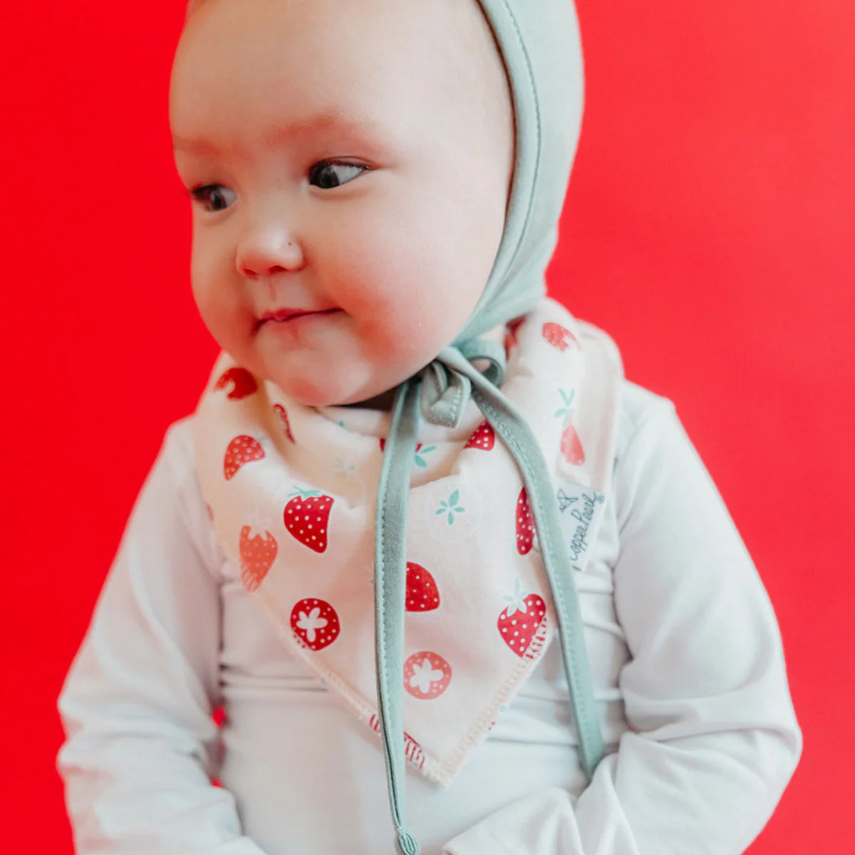 The Clementine (Bandana Bib Set)