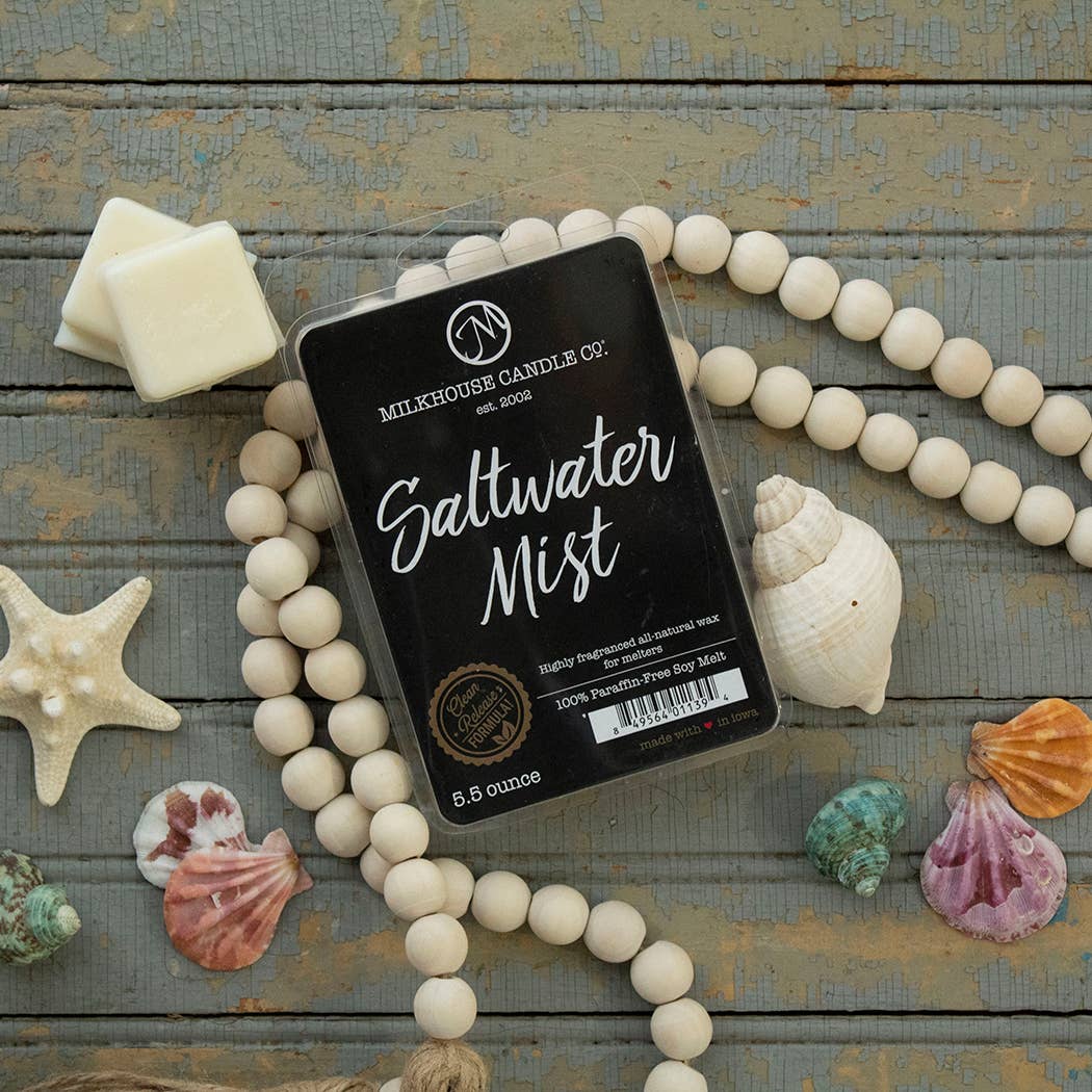 The Saltwater Mist (Wax Melts)