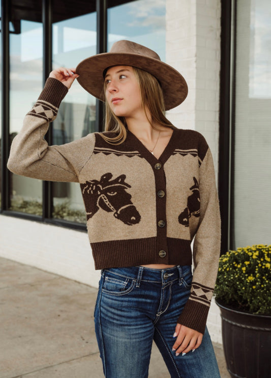 The Colter, ARIAT
