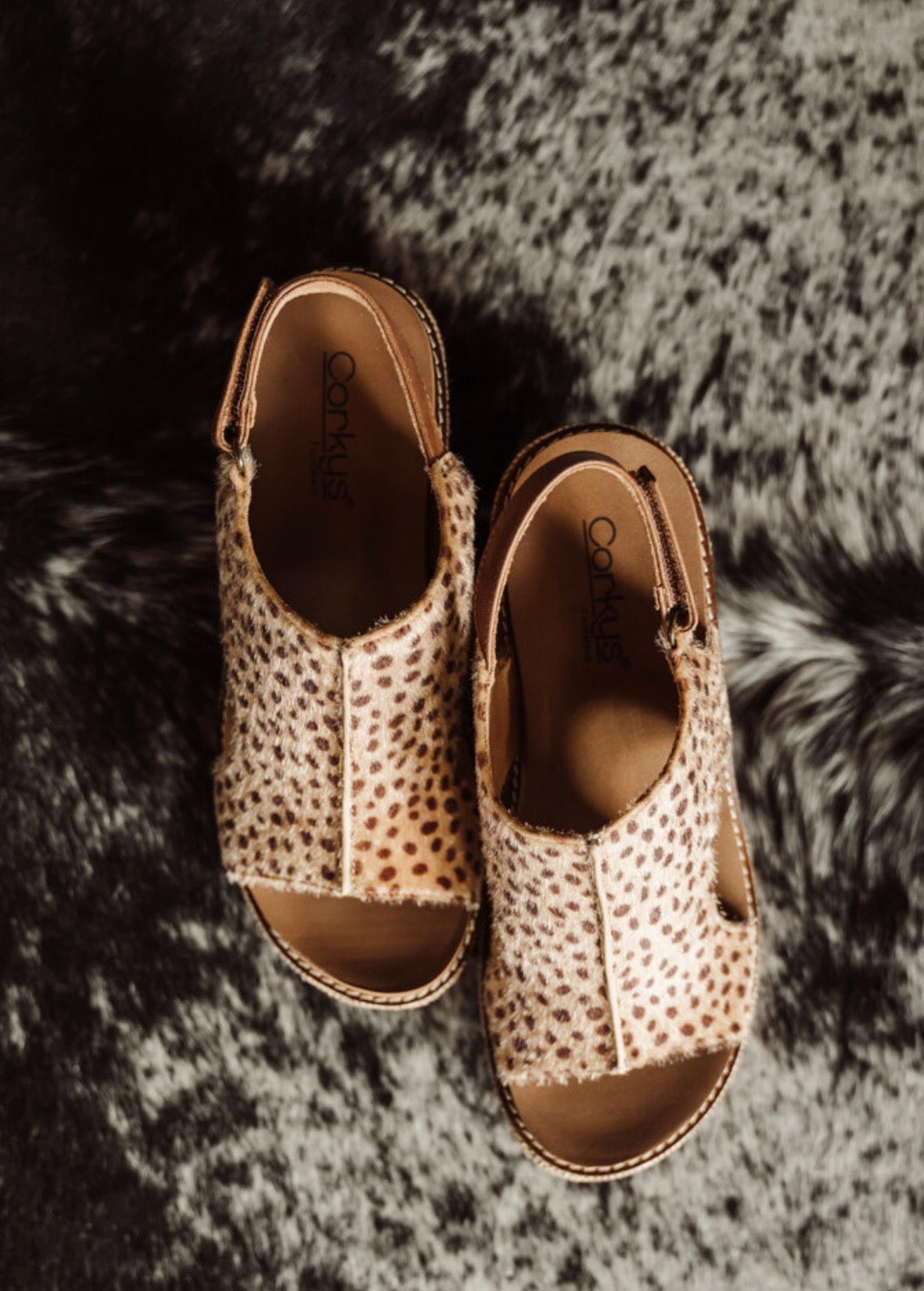 The Carley (mini cheetah), Corkys