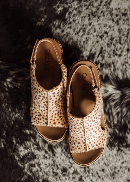 The Carley (mini cheetah), Corkys