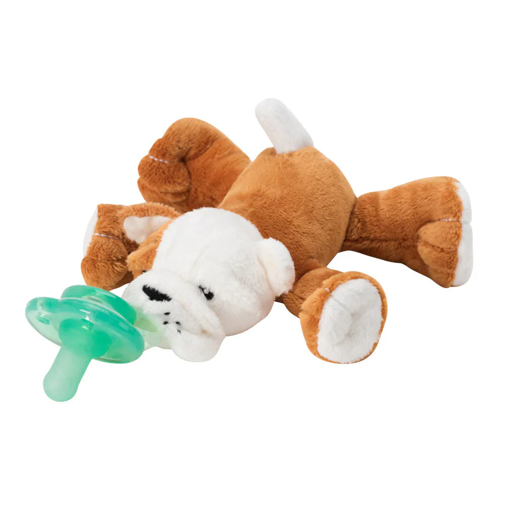 Paci-Plushies Shakies (Bulldog)