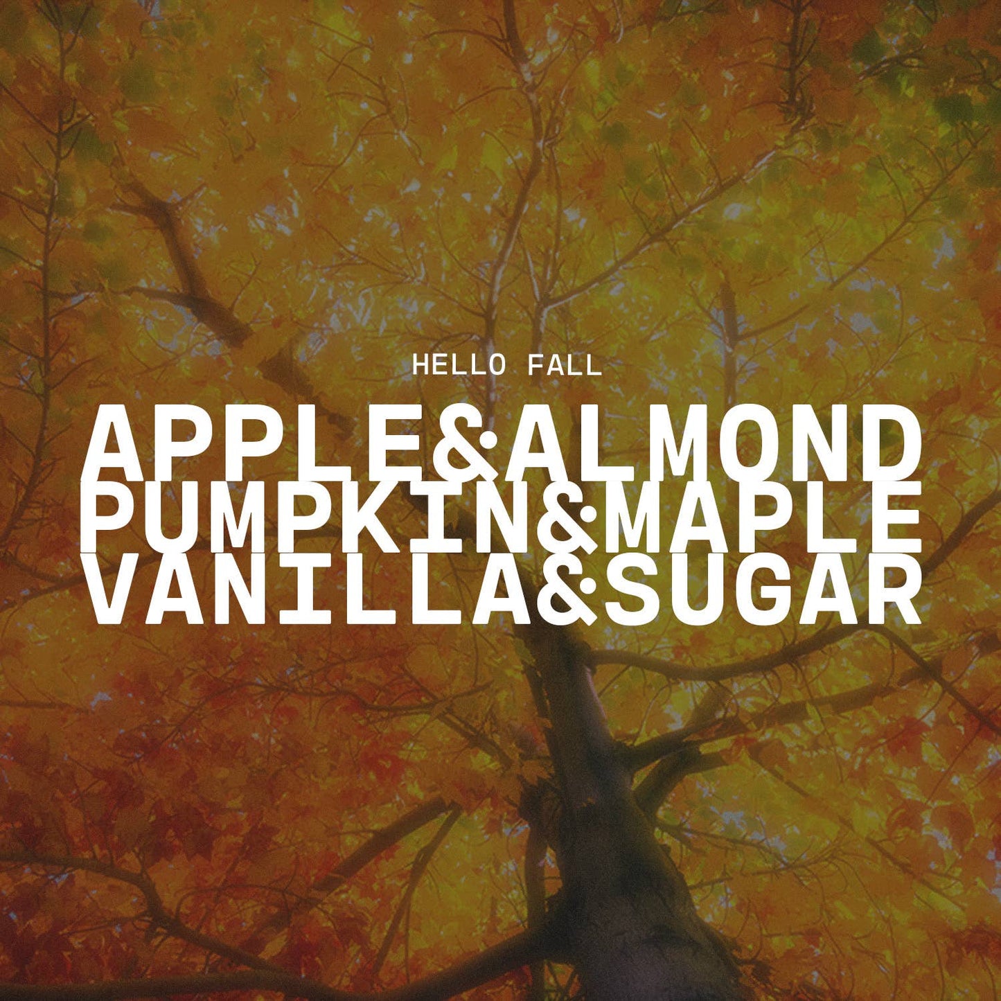 Hello Fall, 13oz